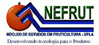 nefrut