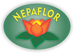 nepaflor